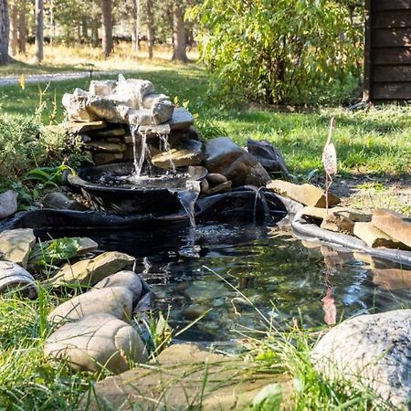 Rustic Cozy Cabin With Hot Tub Bragg Creek Εξωτερικό φωτογραφία